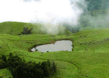 Best resort in wayanad