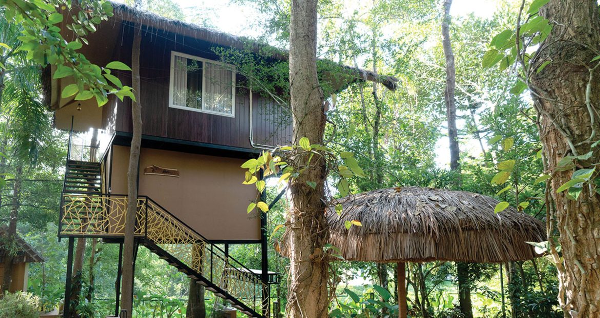 village resort in wayanad
