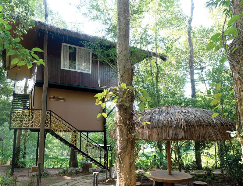 village resort in wayanad