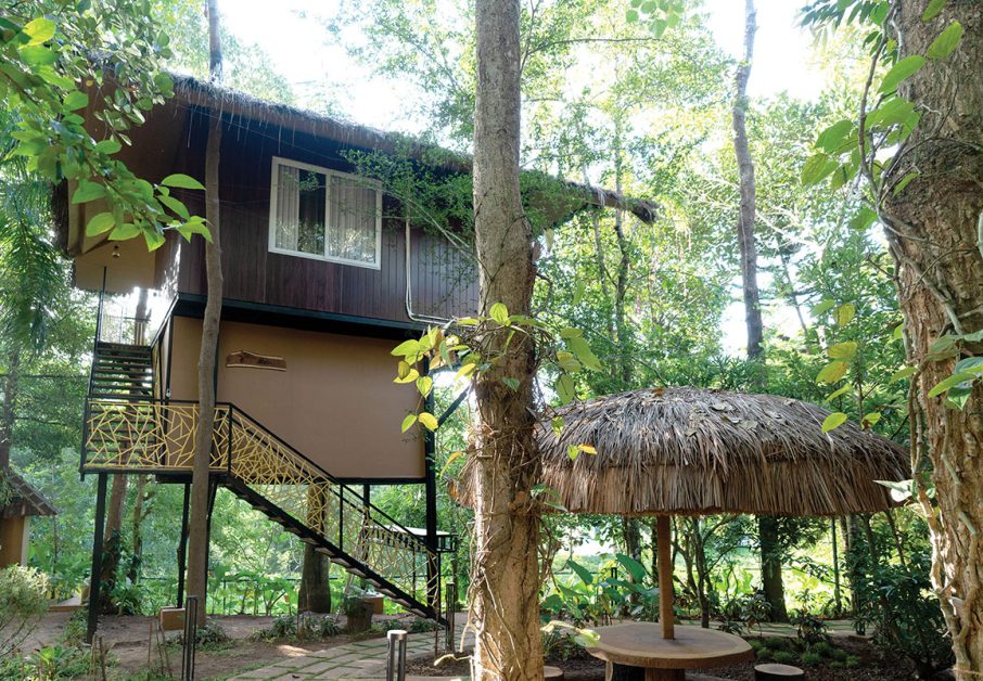 village resort in wayanad