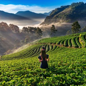 best luxury resort in Wayanad