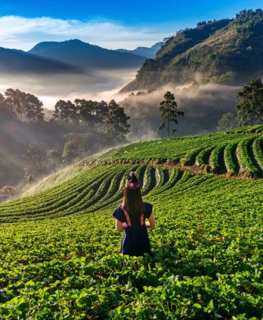 best luxury resort in Wayanad